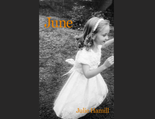 June – A Novel by Julie Hamill